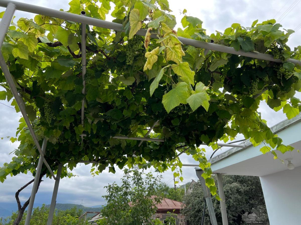Arman Bed And Breakfast Halidzor Bagian luar foto