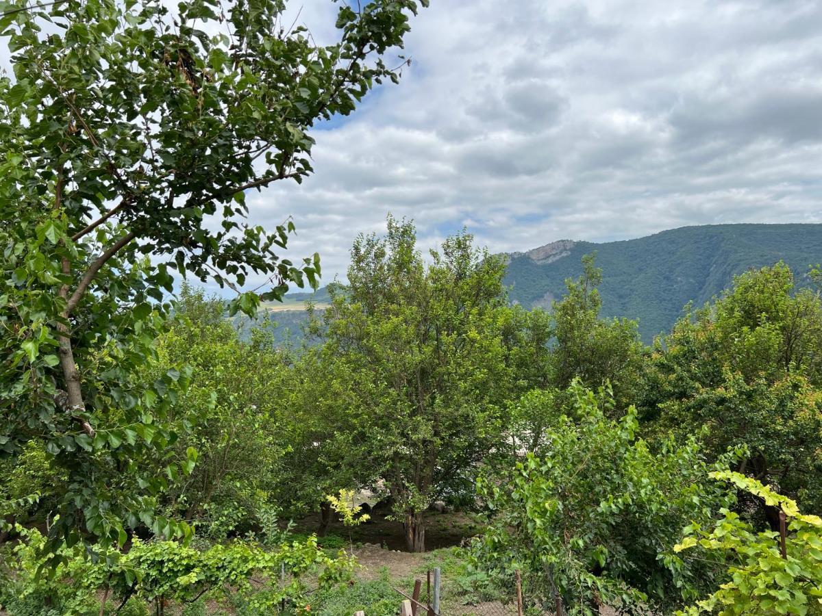 Arman Bed And Breakfast Halidzor Bagian luar foto